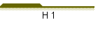 H 1