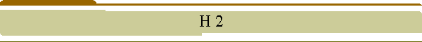 H 2