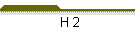 H 2