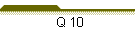 Q 10