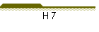 H 7